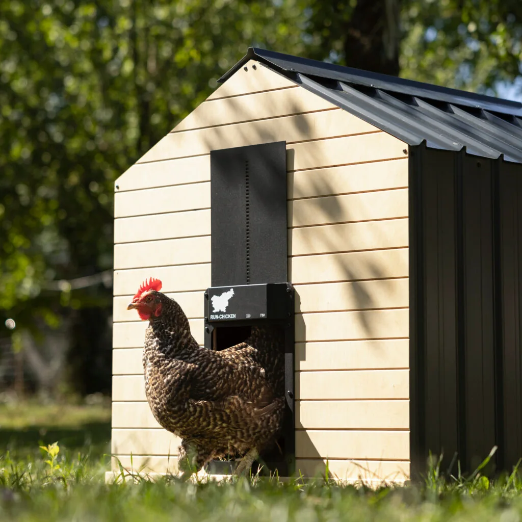 Automatic Coop Door — hand-built by LuckyBird in Colorado, photo 3 of 4