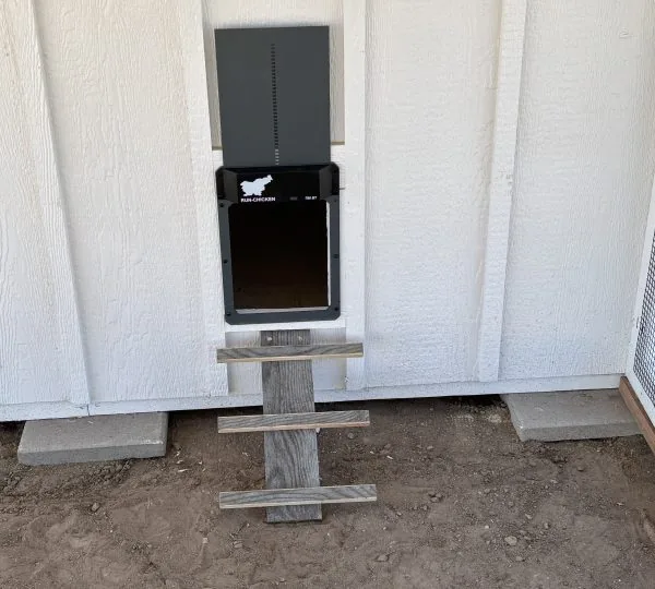 Run-Chicken T50 automatic coop door