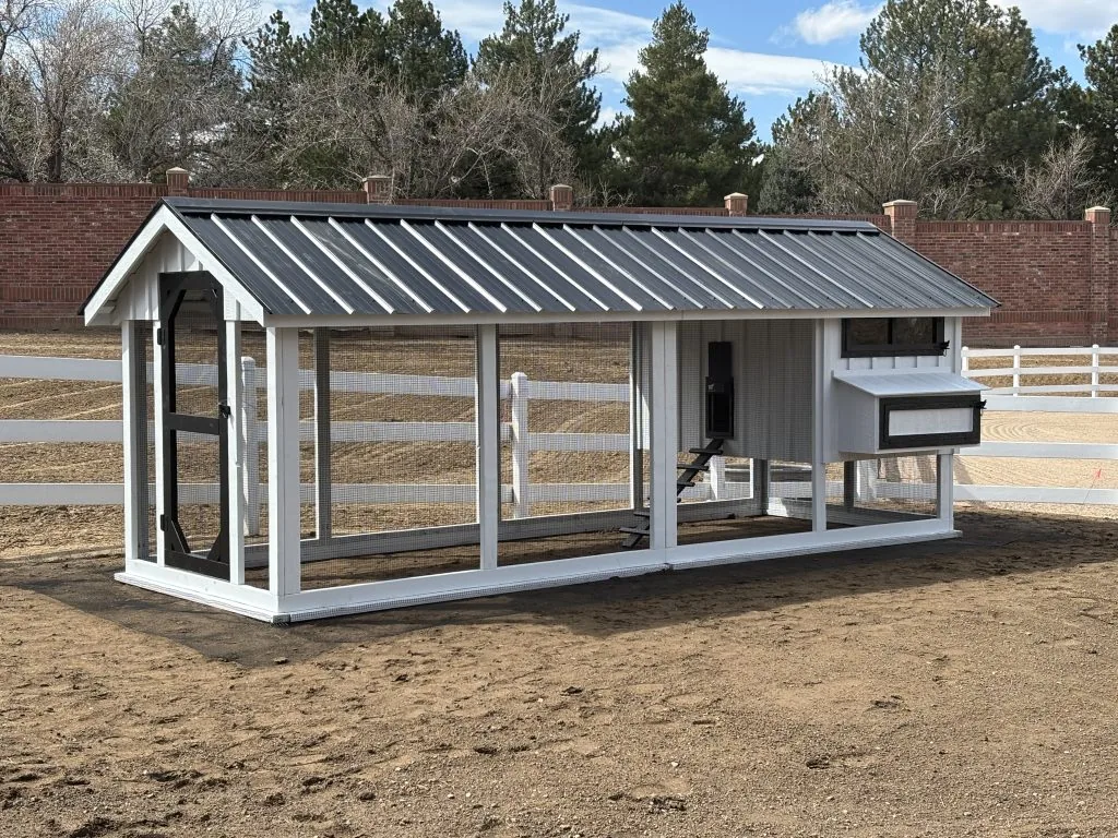 Barn House Coop — hand-built by LuckyBird in Colorado, photo 2 of 8