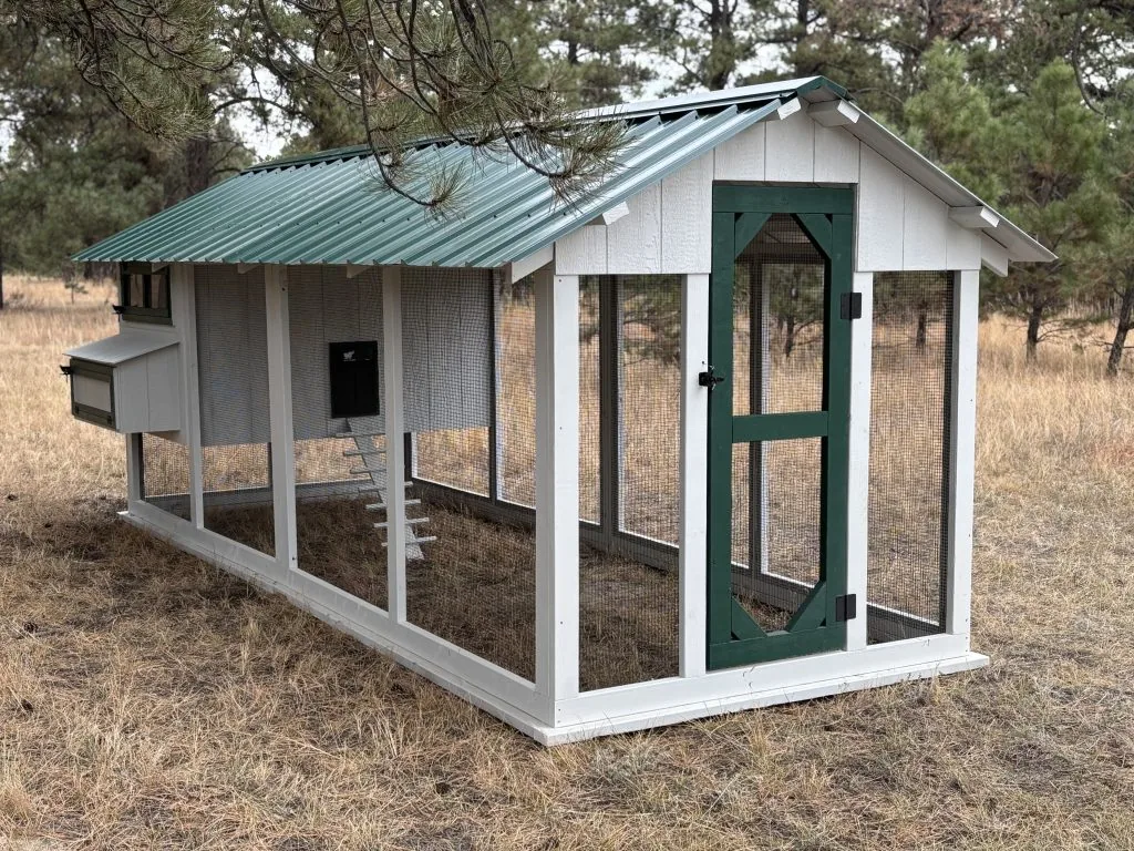 Barn House Coop — hand-built by LuckyBird in Colorado, photo 7 of 8