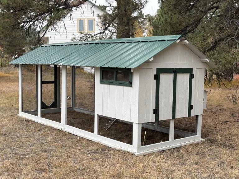 Barn House Coop — hand-built by LuckyBird in Colorado, photo 3 of 8