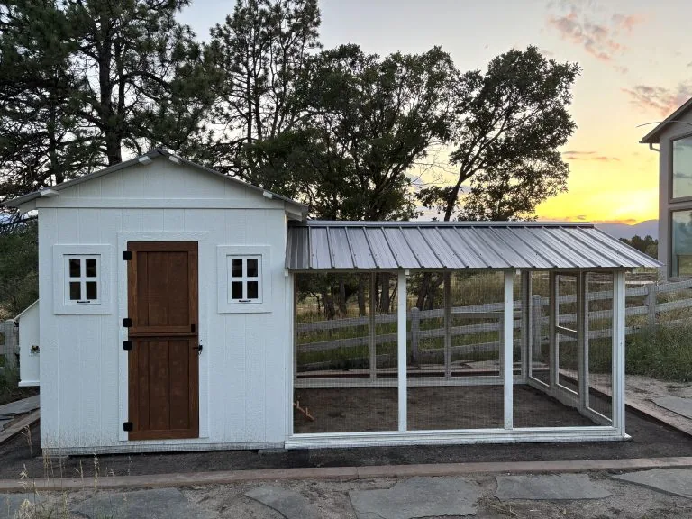 Fully Custom Coop — hand-built by LuckyBird in Colorado, photo 3 of 9