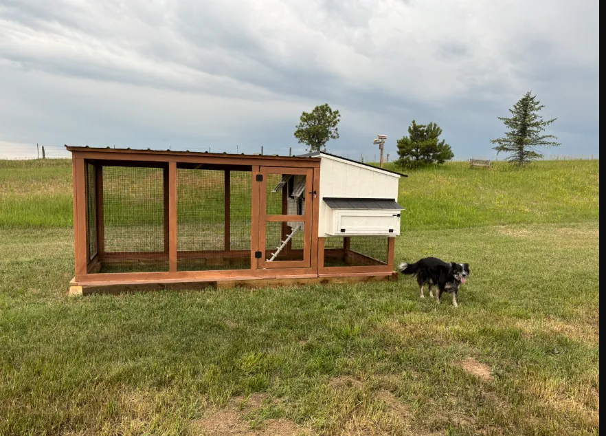 Homesteader Coop — hand-built by LuckyBird in Colorado, photo 3 of 5