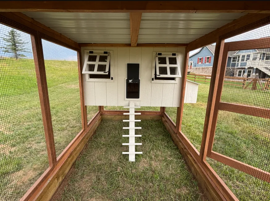 Homesteader Coop — hand-built by LuckyBird in Colorado, photo 5 of 5